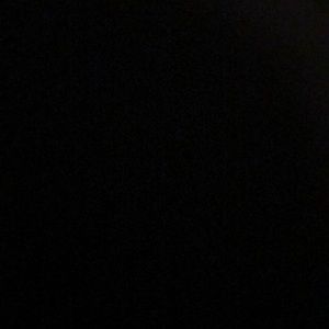 Meet your Posher, Leroy